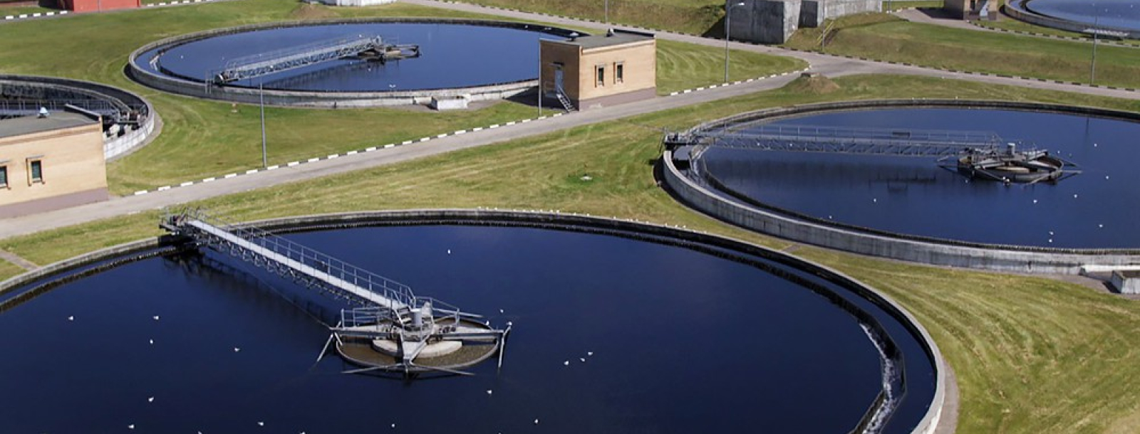 High Concentration Organic Wastewater Treatment