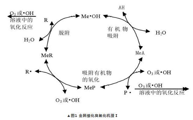 Metal-catalyzed ozonation mechanism