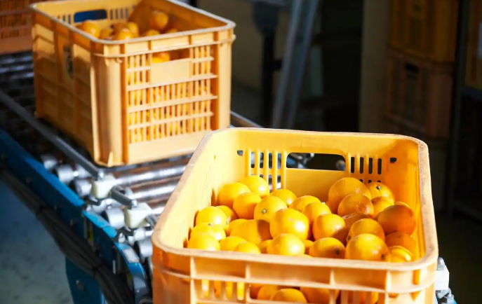 1754465564214431.png 8b9ce781-d658-40c8-a7d9-12550063d2d4.png